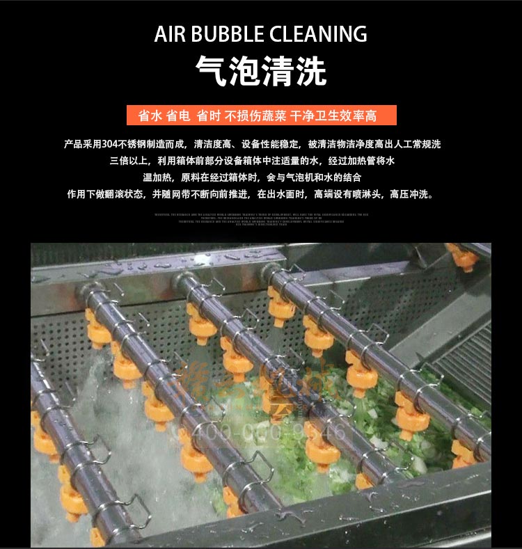 商用全自動氣泡清洗機 果蔬凈菜加工設備流水線(圖4)