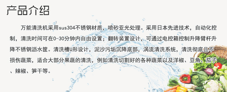 商用全自動果蔬清洗機食堂洗菜機器多少錢一臺(圖4)